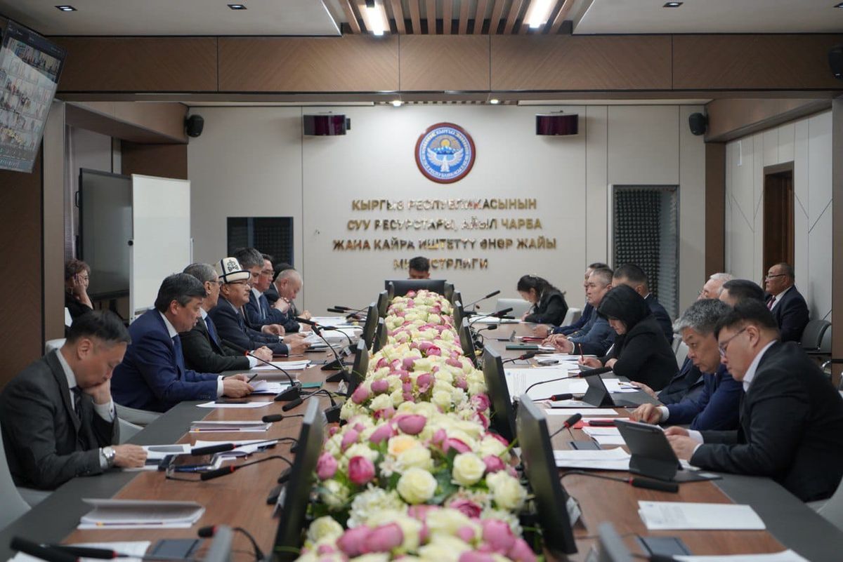 Быйыл айыл чарба каттоосу толугу менен электрондук форматка өткөрүлөт