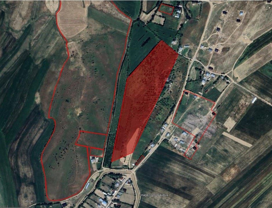 Базар-Коргондо 7,8 млн сомдук жер муниципалдык менчикке кайтарылды