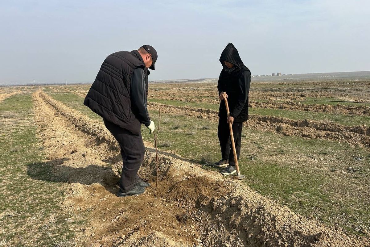 Былтыр Лейлектин Кең-Талаа айылындагы 100 гектар жерге тамчылатып сугаруу системасы орнотулду