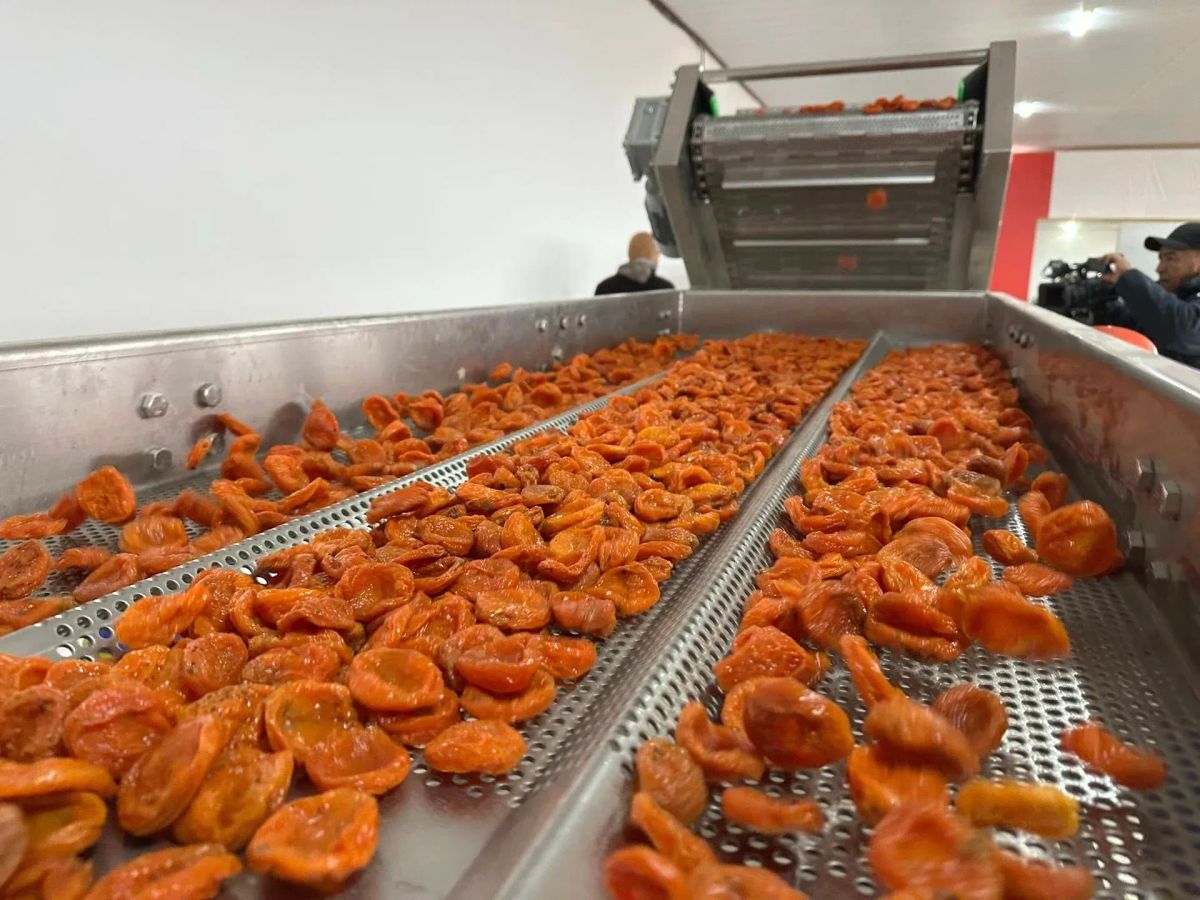 Өткөн жылы Баткенде айыл чарба багытындагы 5 жаңы ишкана ачылган