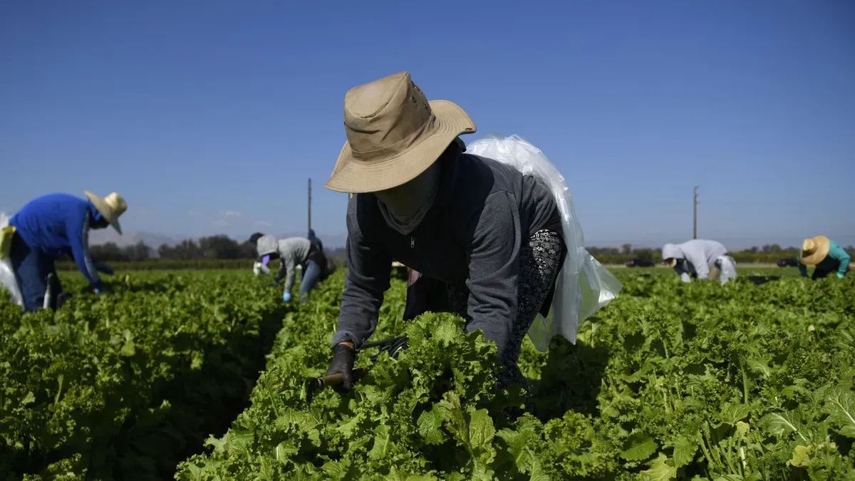 Кадамжайда фермерлерди  тейлөө борбору ачылды