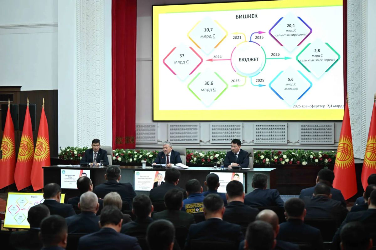 Салык кызматына чогулган 304 млрд сомдун 198,7 млрд сому Бишкекке туура келет