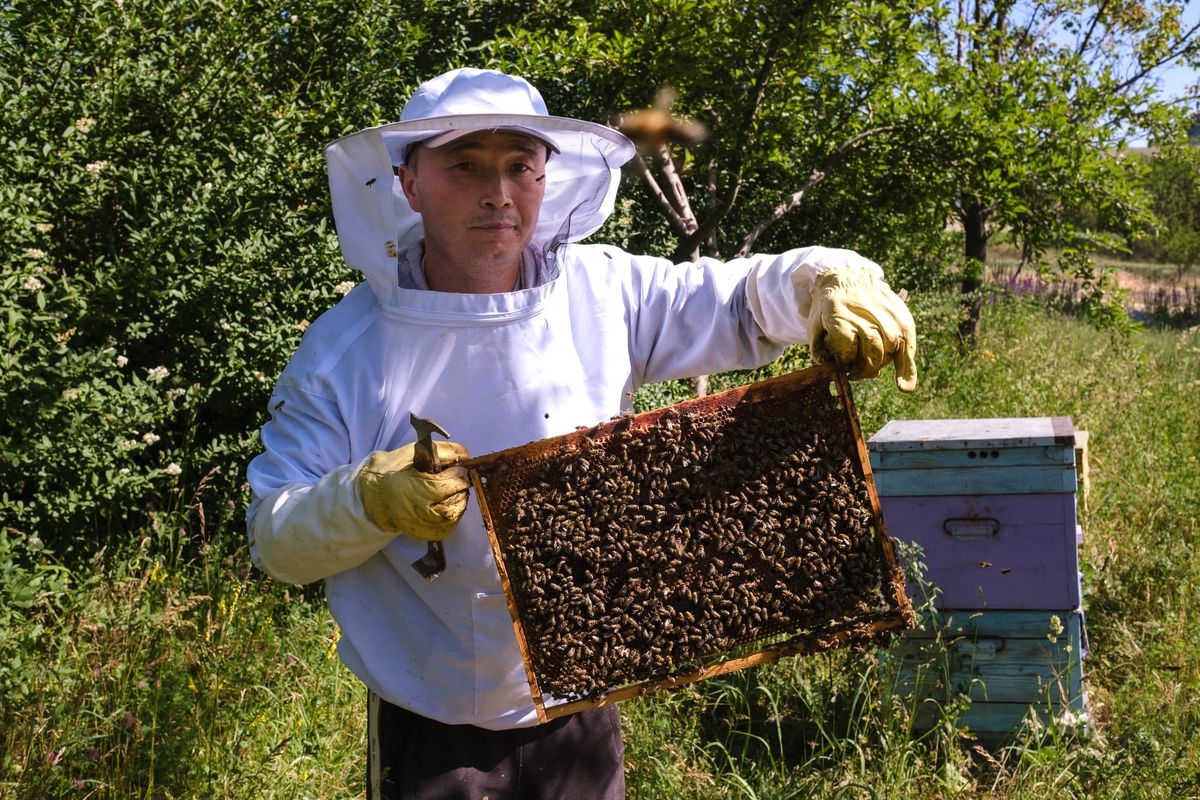 Келечекте “Баткен тоо балы” брендин эл аралык рынокко чыгарам – Азамат Алимбек уулу