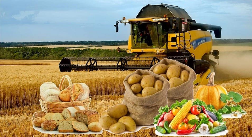 Кыргызстан 17 түр айыл чарба продукциясын экспорттой алат