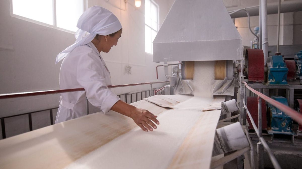 Кыргызстанда  2024-жылга караганда былтыр кант өндүрүү 523 млн сомго көп болду