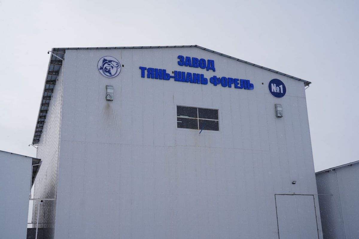 Атамекендик 40 тонна балык тоютун чыгарган завод иштей баштады