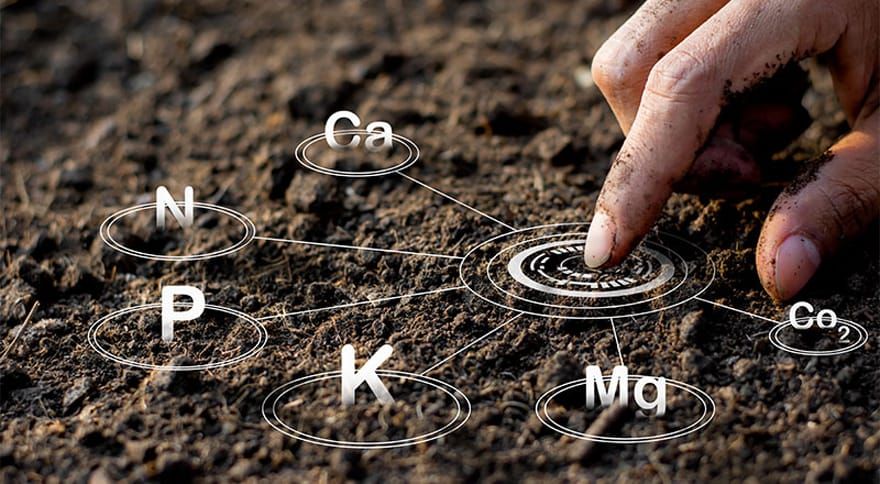Топуракты кайсыл жактарга анализге тапшырса болот?