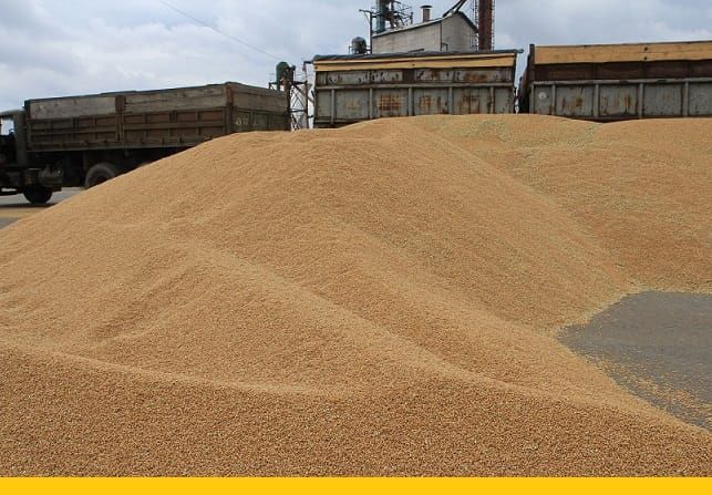 Кыргызстанга Казакстандан дан экспорттоо 1,7 эсеге өстү