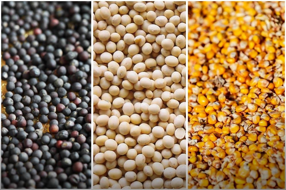 Кайсы товарлар КНСтан бошотулат?