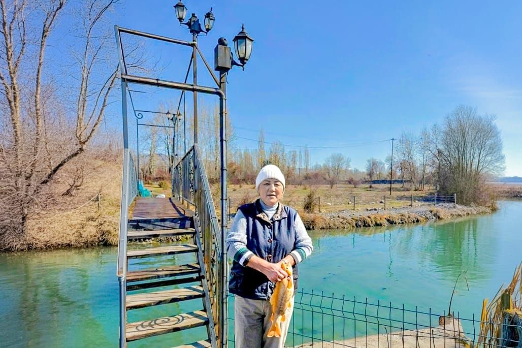 Мал багып, уй саап жүрүп, таластык ишкер айым кантип алтын балык кармап алды?