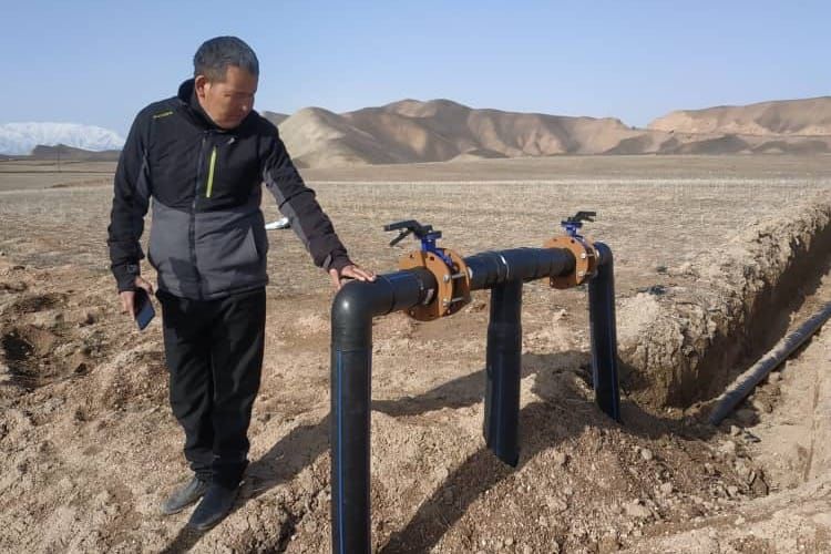 Токтогул районунда 30 гектар жерге тамчылатып сугаруу системасы орнотулуп жатат