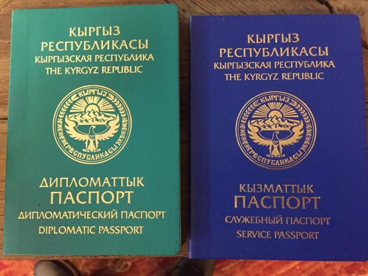 Жогорку Кеңеш бир катар өлкөлөр менен визасыз режимди ратификациялады