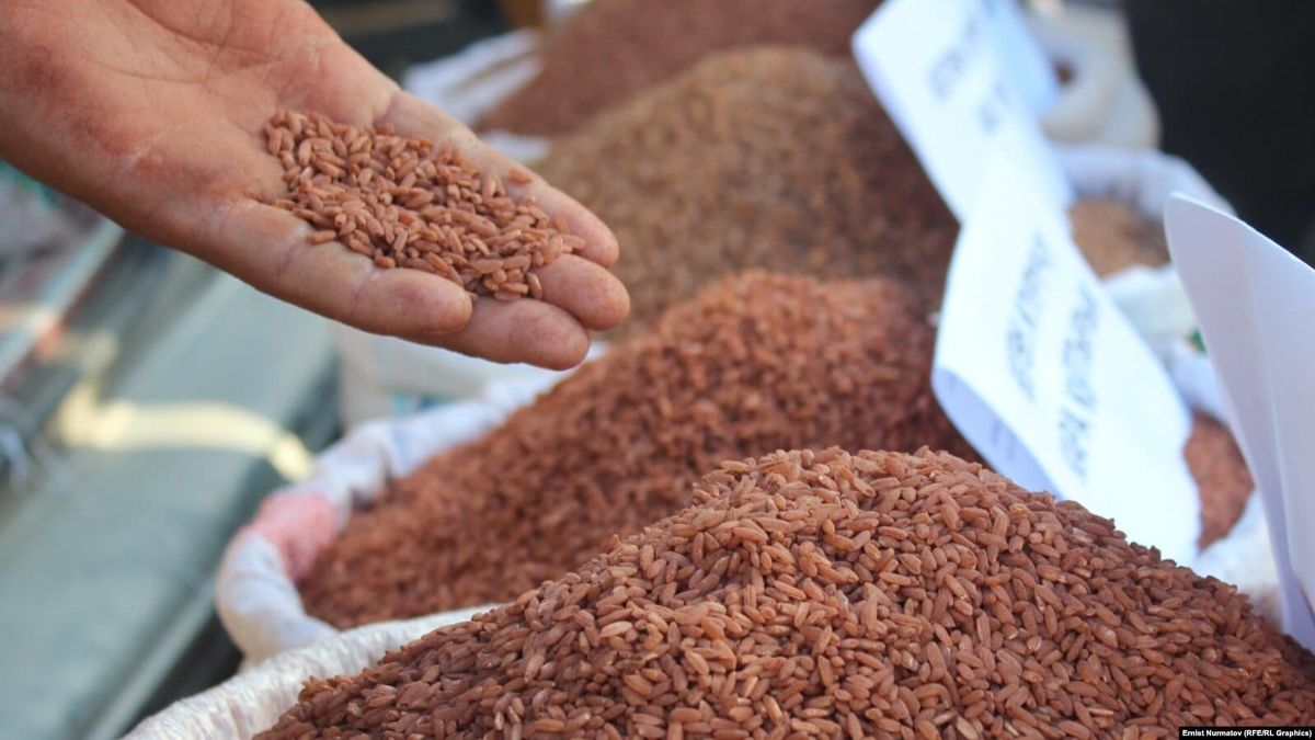 Өзгөндө “Eco Uzgen Kuruch” муниципалдык ишканасы ачылат