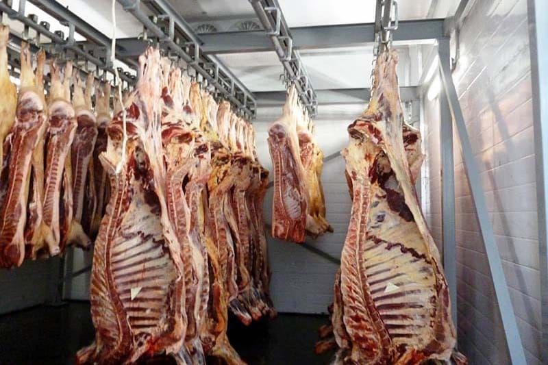 Кыргызстанда 119 мал союучу цехтердин 74ү ветеринардык-санитардык талапка жооп берет