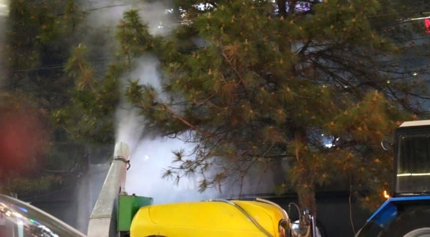 Бишкекте жашыл өсүмдүктөр зыянкечтерге каршы дарыланат