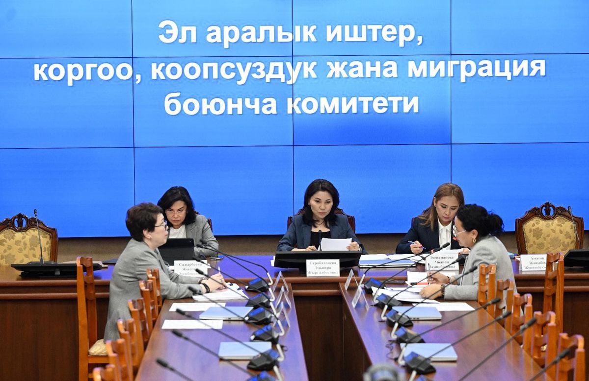 "Кемин – Балыкчы" долбоору: 67,7 млн евролук электр линиясы колдоого алынды