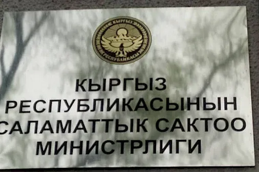 Саламаттыкты сактоо министрлиги маяна тууралуу  түшүндүрмө берди
