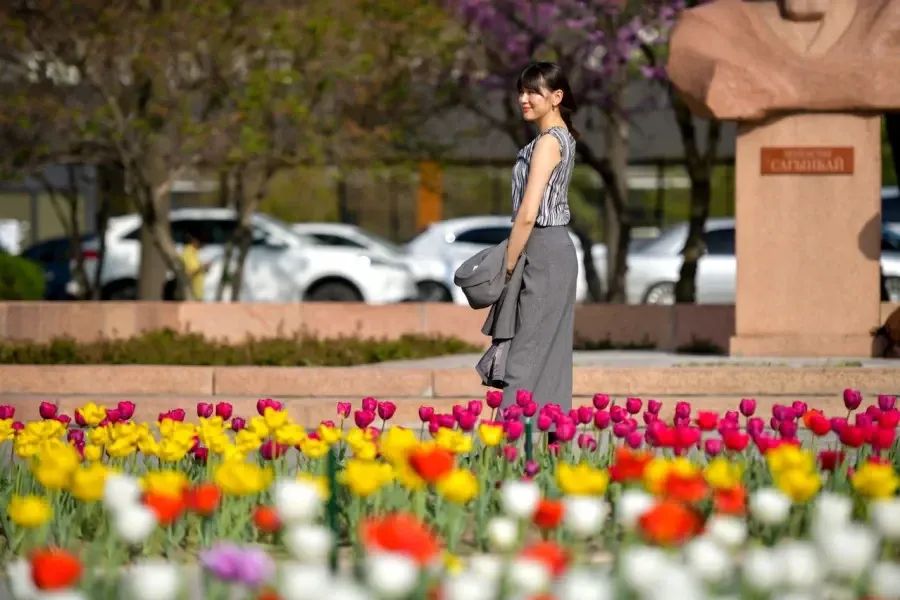 Бишкекте шаарды жашылдандыруу боюнча конкурстар жарыяланды