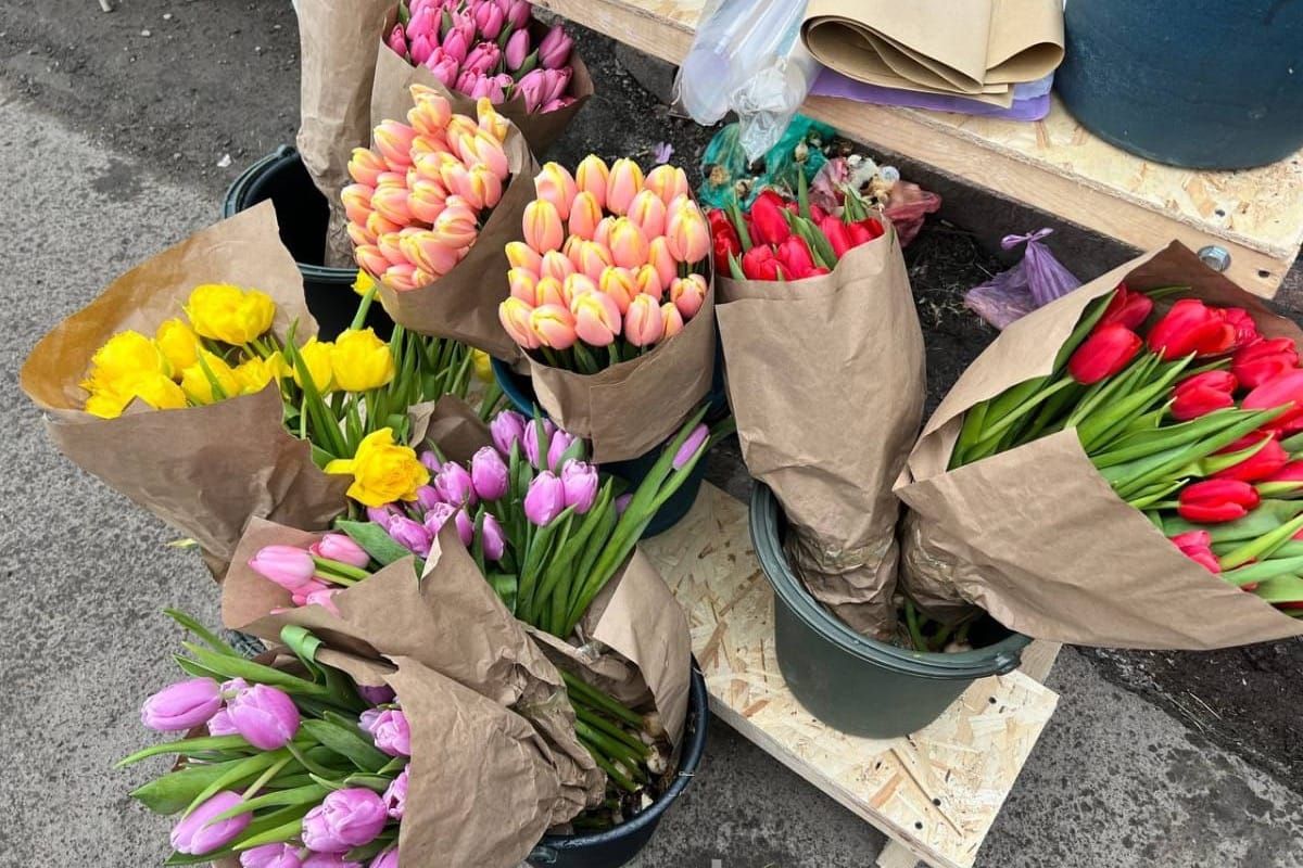 Гүл, көчөт саткан жайлардын фитосанитардык абалы текшерилди