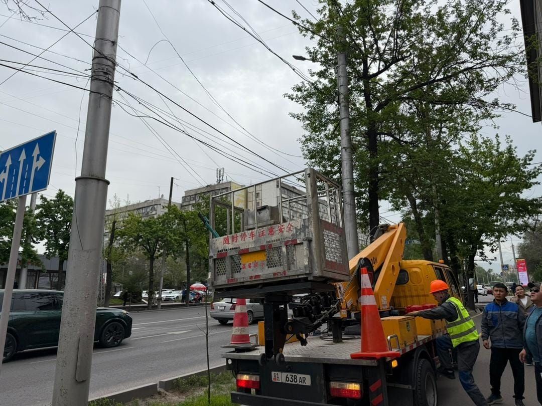 Бишкекте абадагы интернет-кабелдерди демонтаждоо башталды