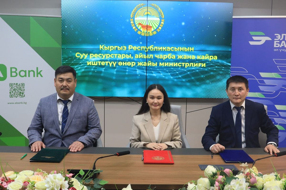 Кыргызстанда жеңилдетилген насыя алуу үчүн электрондук кезек системасы ишке кирди