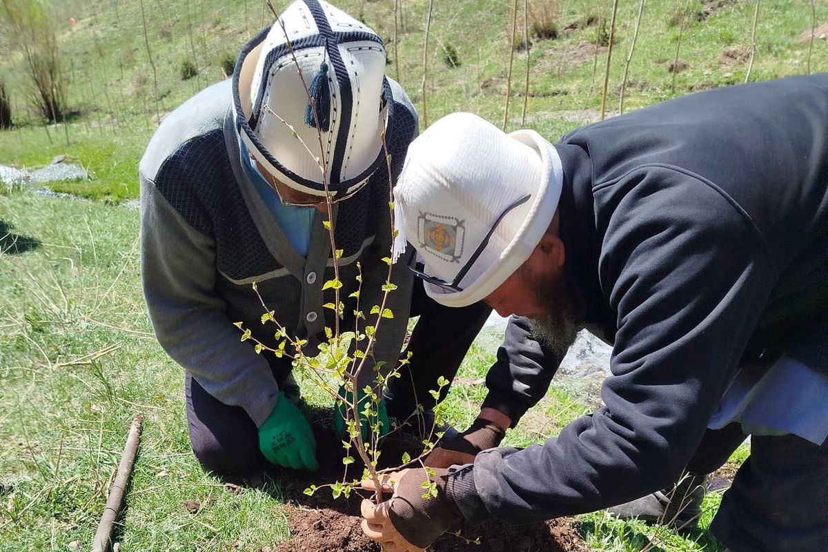 Быйыл Тогуз-Торо районунда 125 түп көчөт отургузулат
