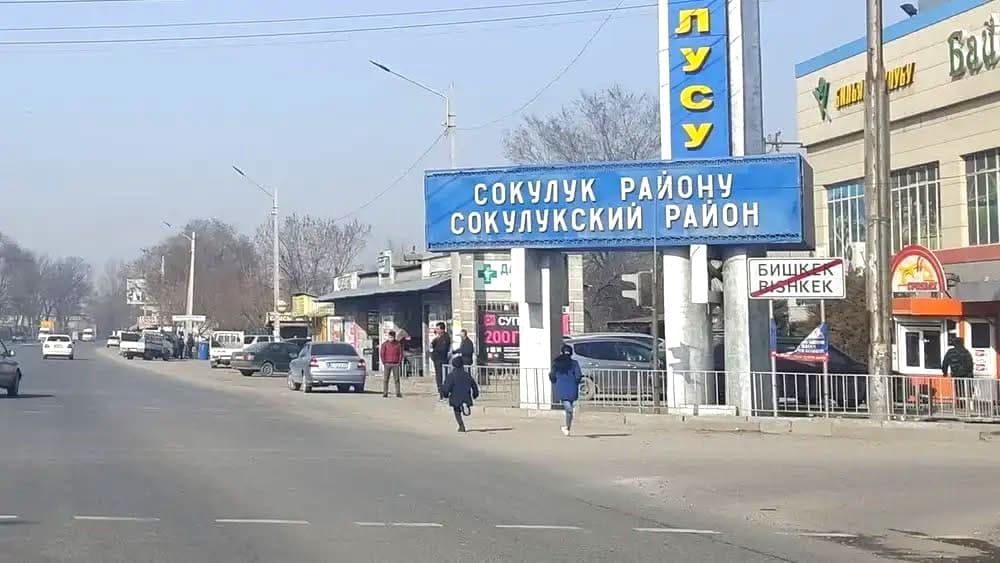 Сокулукта 45 млн сомдук жер тилкелер мамлекетке кайтарылды