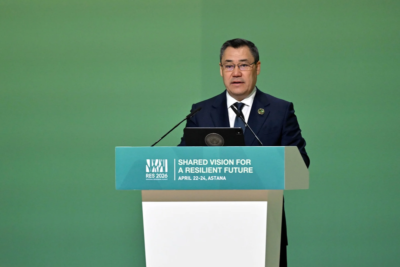 Кыргызстанда мөңгүлөрдүн саны 16%га кыскарды