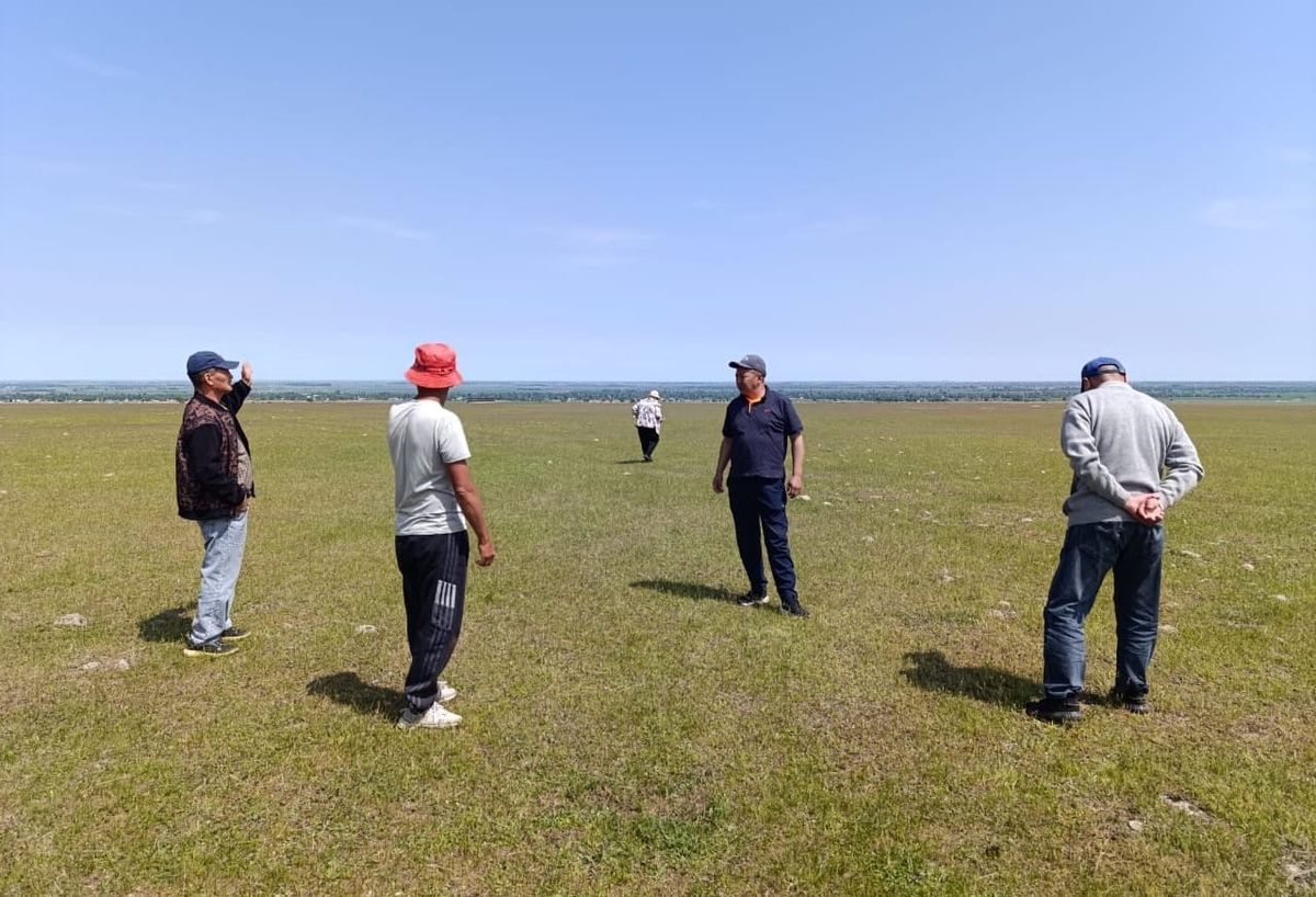 Чүйдө 1 250 гектардан зыянкеч чегиртке аныкталып, чара көрүлө баштады