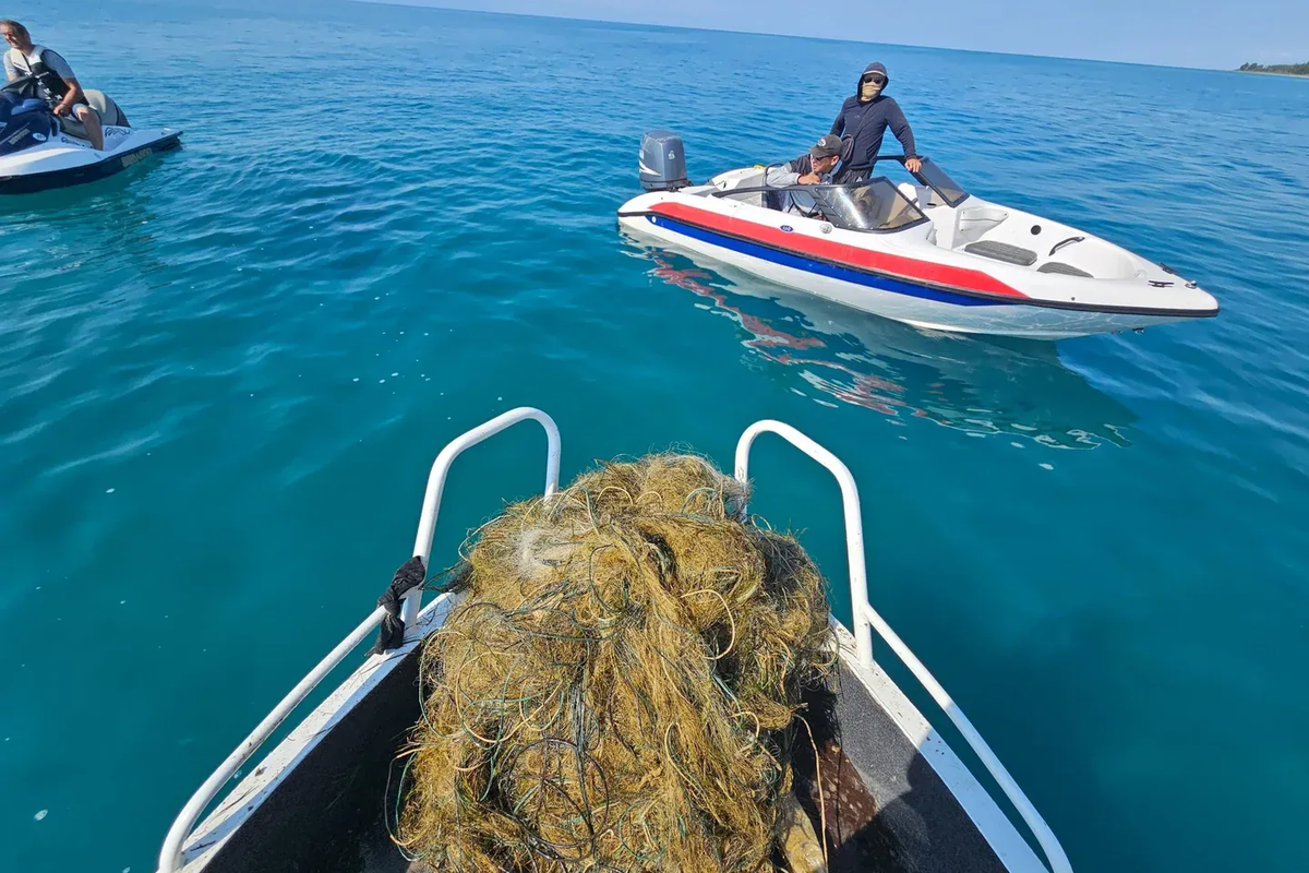 Президент Ысык-Көлгө  тор салбоого чакырды