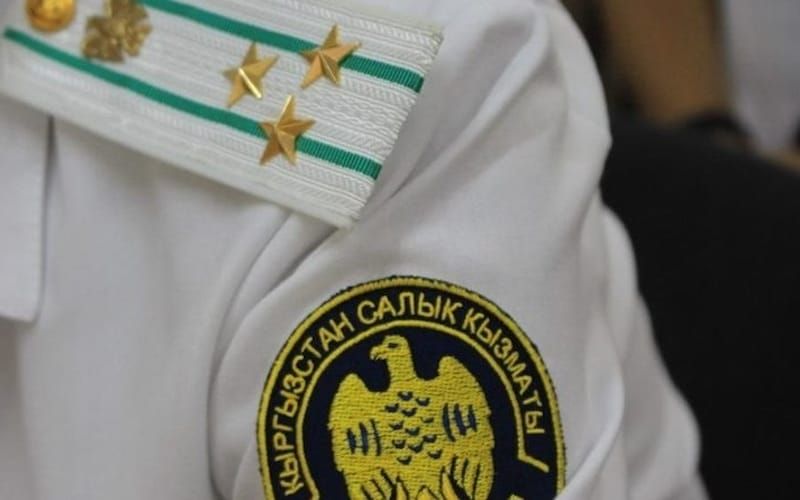 Салык кызматы "Ак-Жол" өткөрмө пунктунда мыйзамсыз жүктөрдү аныктады