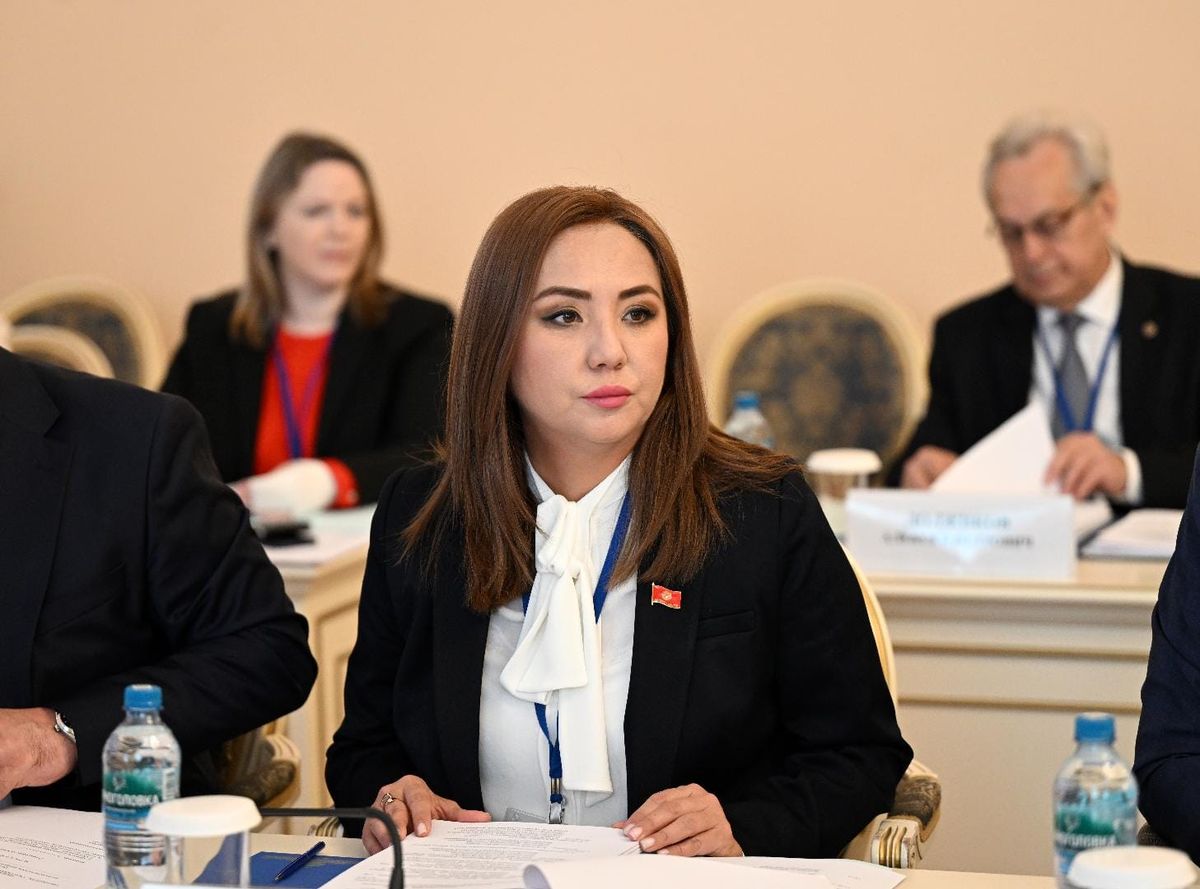 ЖК депутаты КМШ ПААсынын комиссия жетекчилигине шайланды