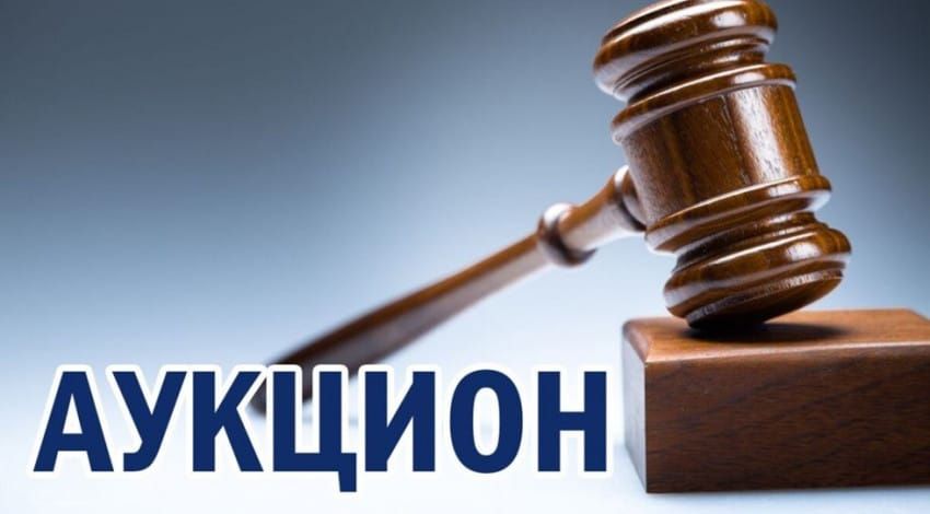 Ошто муниципалдык жерлер аукционго коюлат