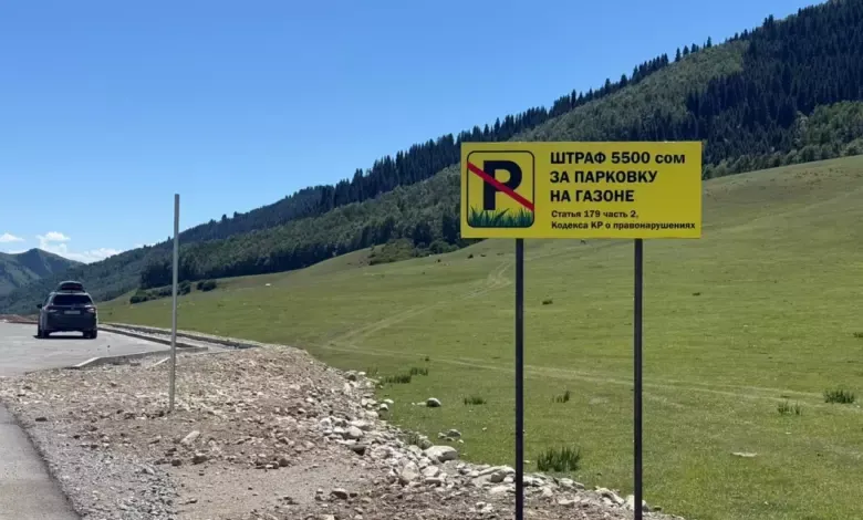 Кырчын жайлоосунда жаратылышты коргоо багытында рейд өткөрүлдү