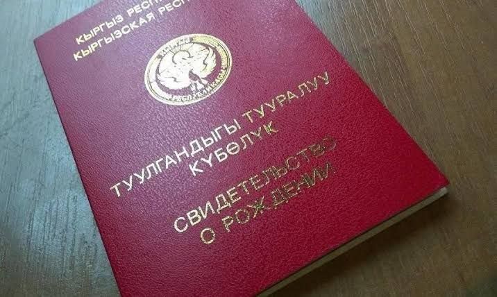 Балага кош фамилия ыйгаруу демилгеси коомдук талкууга чыкты