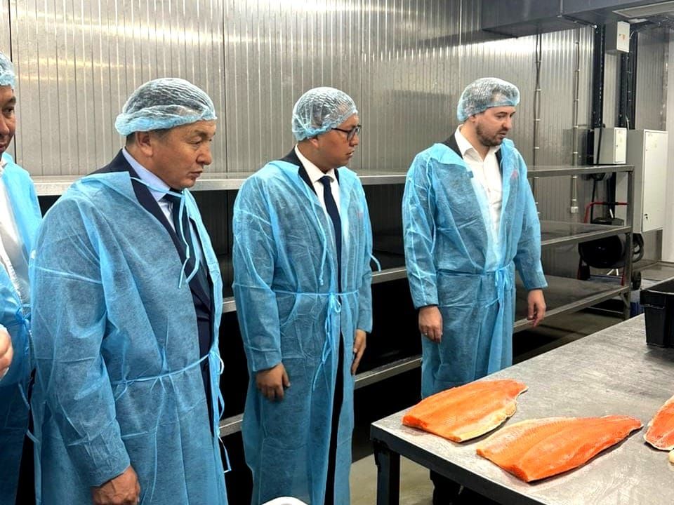 Ак-Жол айылында балыкты кайра иштетүүчү ишкана ачылды