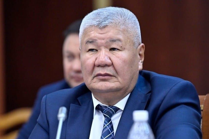 Таалайбек Ибраев Энергетика министри кызматынан бошотулду