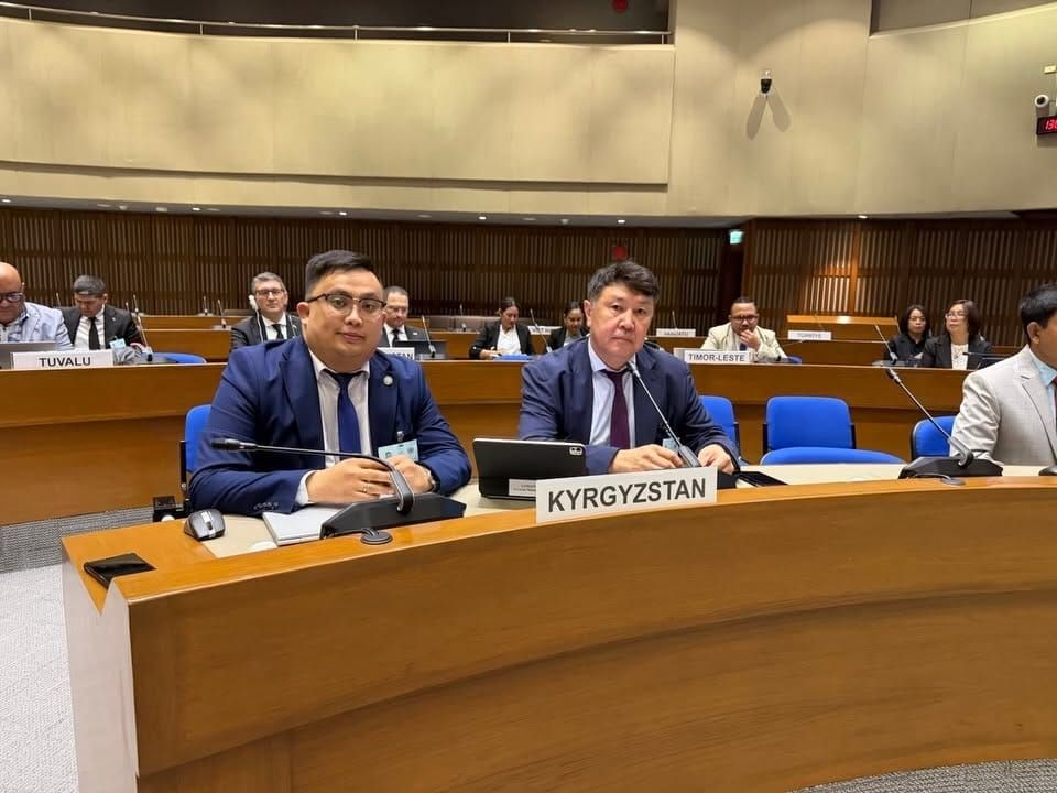 Кыргызстан үчүнчү ирет эл аралык Кагазсыз соода боюнча кеңешти жетектейт