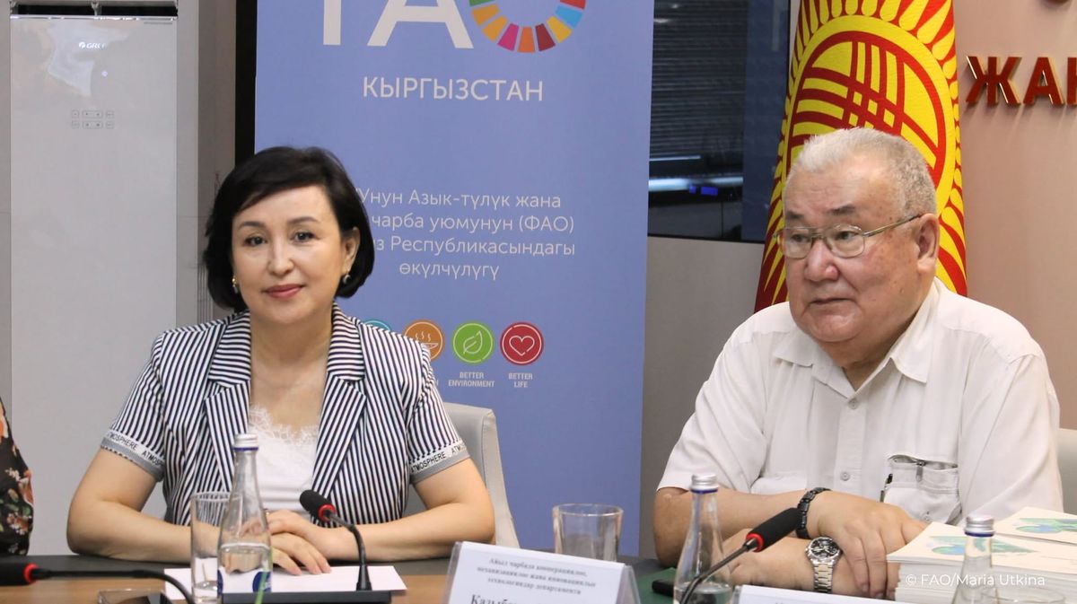 Кооперативдер 185 млн сомдук бизнес-пландарды түзүштү