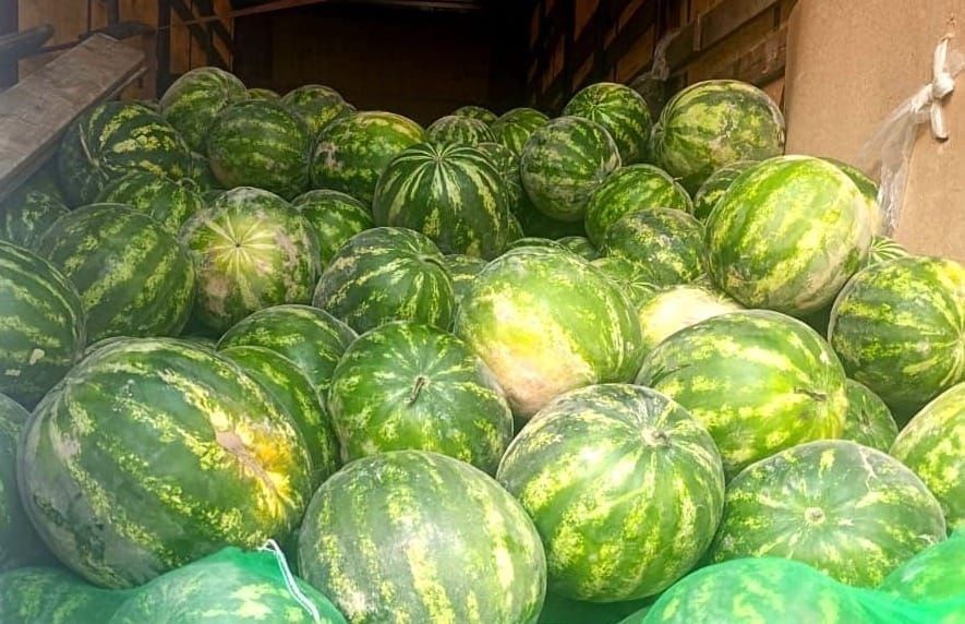 "Кең-Сай" өткөрүү пунктунда 48 тоннага жакын дарбыз артка кайтарылды
