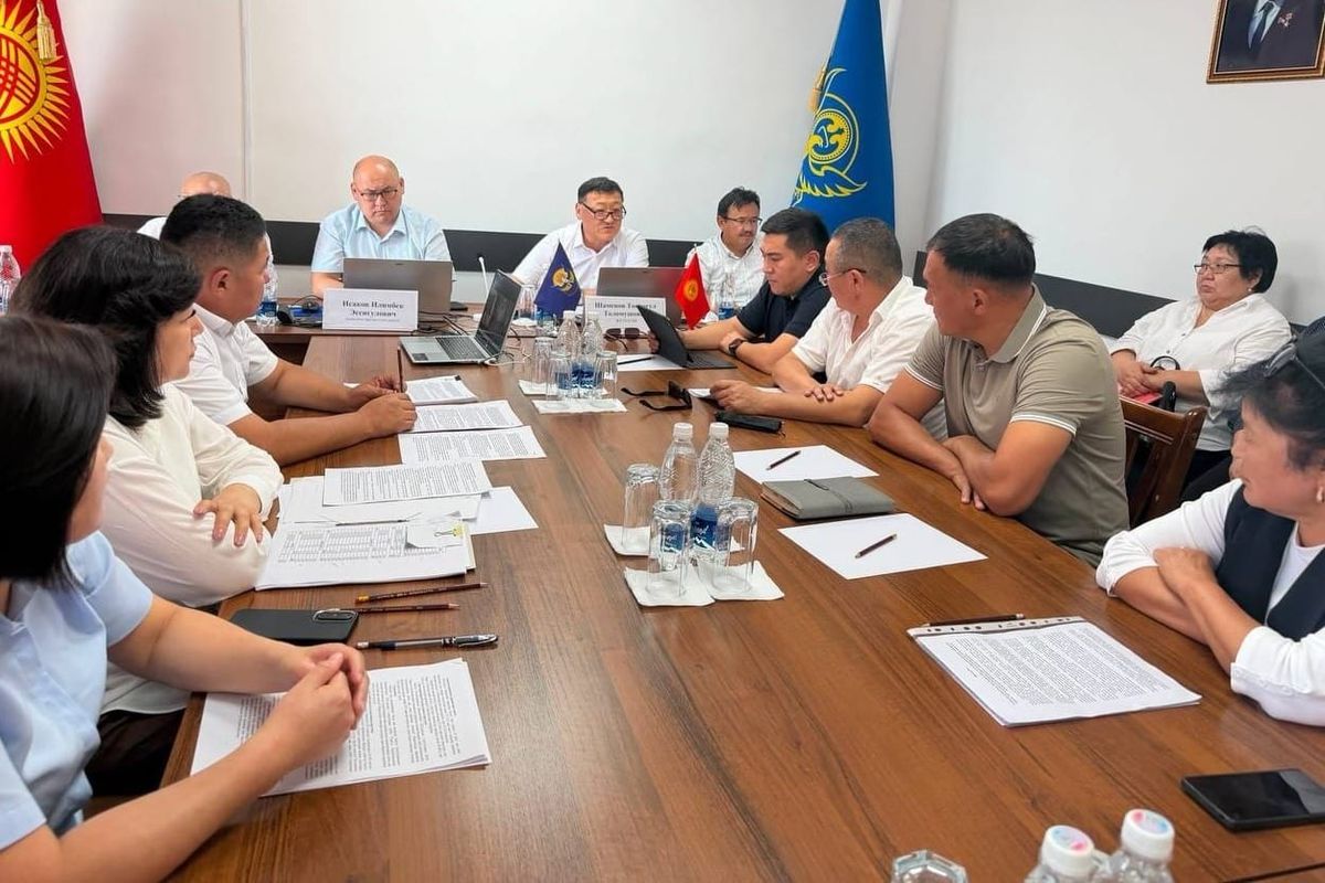 Аламүдүн районунда 57,6 млн сомдук каржылык мыйзам бузуу аныкталды