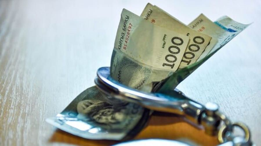 Кадамжайда жапайы каманды мыйзамсыз аткан жаран 62,5 миң сом төлөйт