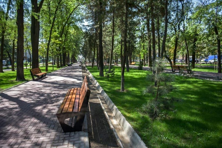 Бишкектеги сейил бактарда ит сейилдетүүчү атайын жайлар түзүлөт