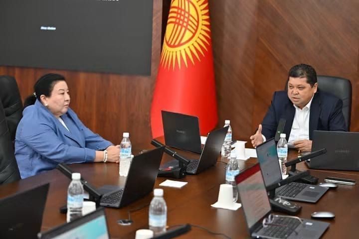 Президенттик шайлоодо талапкерлердин документтерин текшерүү тартиби бекитилди