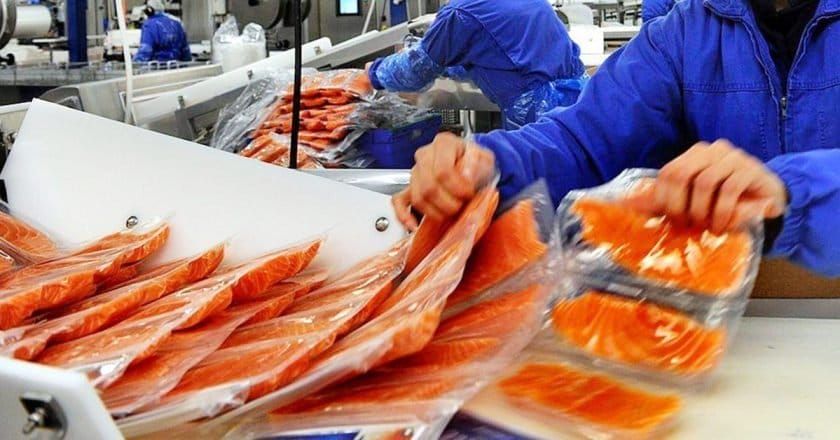 Акыркы 7 айда Кыргызстандан 746,7 тонна балык чет өлкөлөргө сатылды