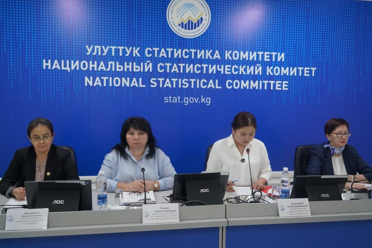 Улуттук статистика комитети: Кыргызстанда ИДП 11,1% өстү