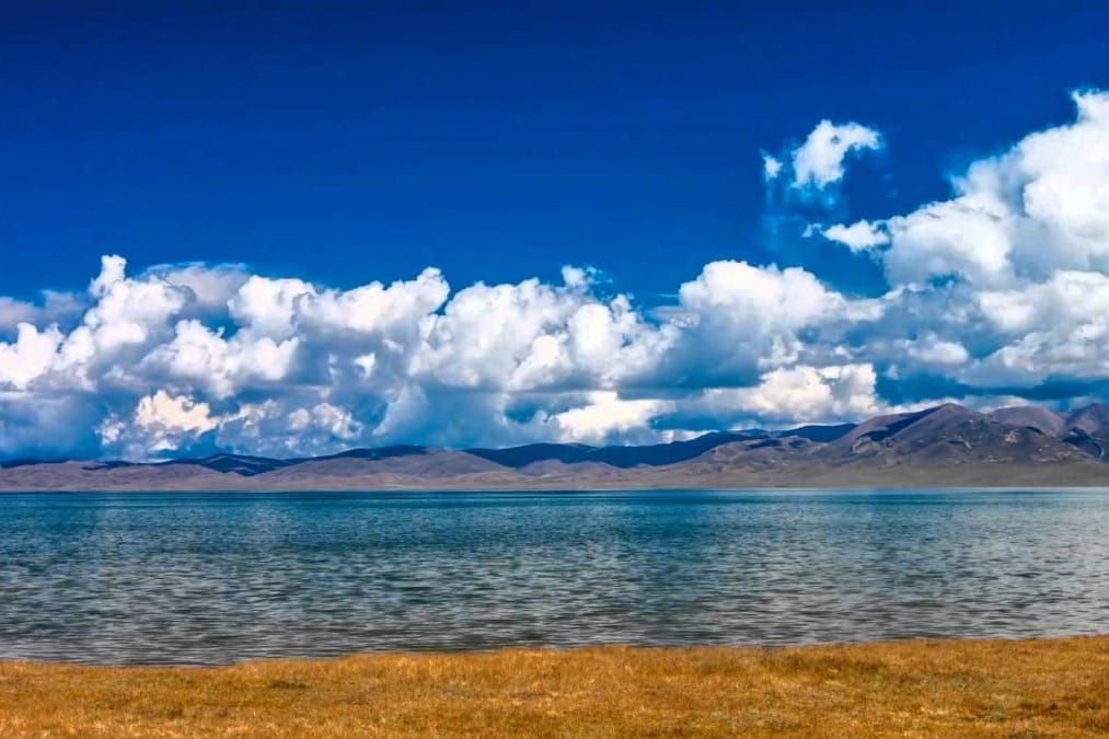 Соң-Көлдө жапайы канаттууларды байкоочу курулма орнотулду