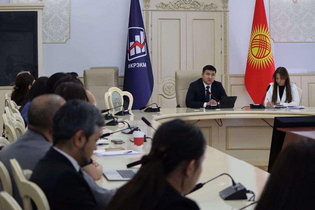 Экономика жана коммерция министрлигинин өкүлдөрү эл аралык өнөктөштөр менен жолугушту