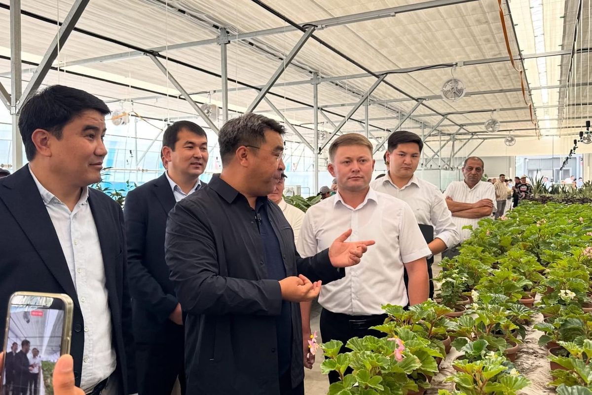 Ош шаарында жаңы заманбап күнөскана пайдаланууга берилди