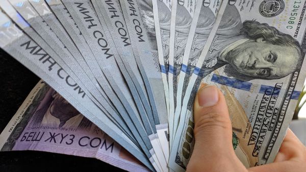 Салык кызматы 43 млн сом социалдык же мүлктүк эсептен чыгарып алууну кайтарып берди